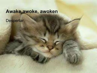 Awake,awoke, awoken
Despertar.
 