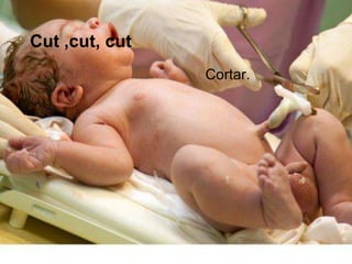 Cut ,cut, cut
                Cortar.
 