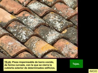 Vocabulario Visual L Z