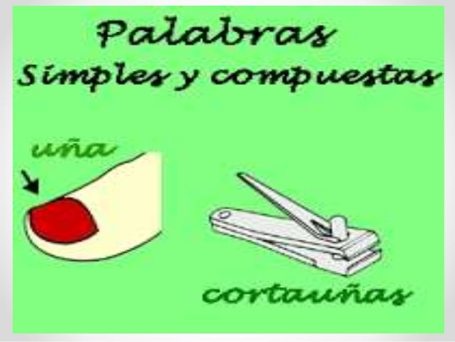 Vocabulario y ortografía 5º de primaria