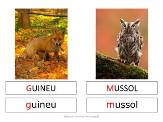 GUINEU 
guineu 
MUSSOL 
mussol 
fototeca infantil de florimarga@ 
 