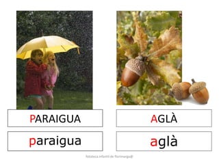 PARAIGUA 
paraigua 
AGLÀ 
aglà 
fototeca infantil de florimarga@ 
