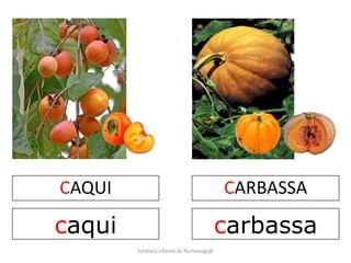 CAQUI 
caqui 
CARBASSA 
carbassa 
fototeca infantil de florimarga@ 
 