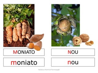 MONIATO 
moniato 
NOU 
nou 
fototeca infantil de florimarga@ 
 