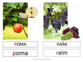POMA 
poma 
RAÏM 
raïm 
fototeca infantil de florimarga@ 
 