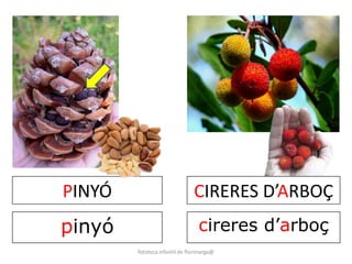 PINYÓ 
pinyó 
CIRERES D’ARBOÇ 
cireres d’arboç 
fototeca infantil de florimarga@ 
 
