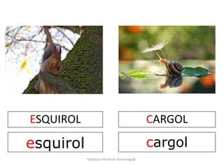 ESQUIROL 
esquirol 
CARGOL 
cargol 
fototeca infantil de florimarga@ 
 