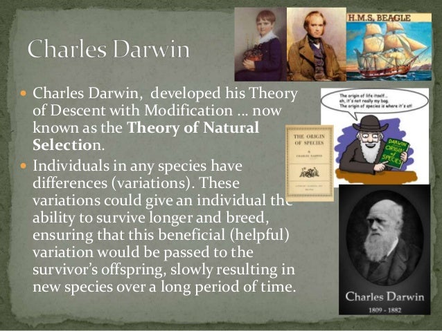 Image Result For Natural Selection Definitiona Image Result For Natural Selection Definitiona