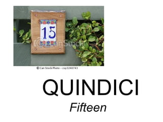 QUINDICI
Fifteen
 