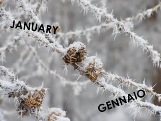 GENNAIO
JANUARY
 