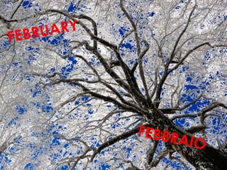 FEBBRAIO
FEBRUARY
 