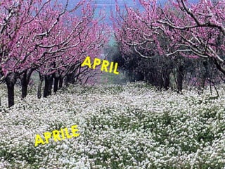 APRILE
APRIL
 