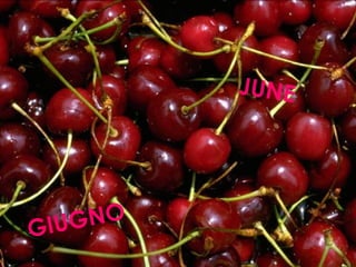 GIUGNO
JUNE
 