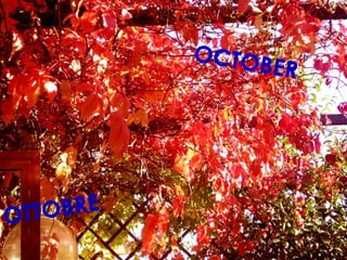 OTTOBRE
OCTOBER
 