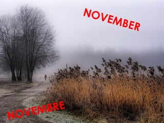 NOVEMBRE
NOVEMBER
 