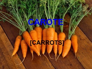 CAROTE
[CARROTS]
 