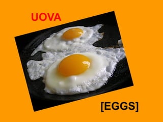 UOVA
[EGGS]
 