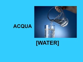 ACQUA
[WATER]
 