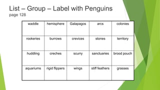 List – Group – Label with Penguins
page 128
waddle hemisphere Galapagos arcs colonies
rookeries burrows crevices stones territory
huddling creches scurry sanctuaries brood pouch
aquariums rigid flippers wings stiff feathers grasses
 