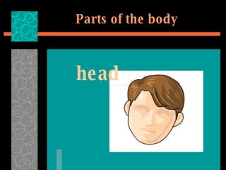 Parts of the body head 