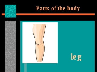 Parts of the body leg 