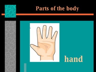 Parts of the body hand 