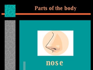 Parts of the body nose 