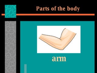 Parts of the body arm 