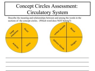 Concept Circles Assessment:  Circulatory System Veins Large intestines  Heart Arteries Salivary Glands Blood  carbon dioxide Oxygen  Describe the meaning and relationships between and among the words in the sections of  the concept circles.  (Which word does NOT belong?) ________________________________________________________________________________________________________________________________________________________________________________________________________________________________________________________________________________________ 