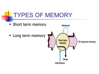 TYPES OF MEMORY Short term memory Long term memory 