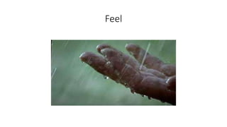 Feel
 