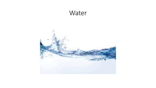 Water
 
