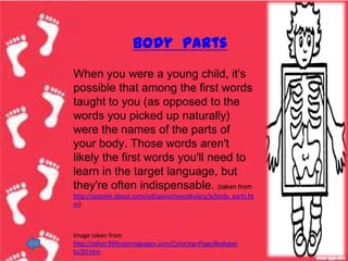 Body parts
When you were a young child, it's
possible that among the first words
taught to you (as opposed to the
words you picked up naturally)
were the names of the parts of
your body. Those words aren't
likely the first words you'll need to
learn in the target language, but
they're often indispensable. (taken from
http://spanish.about.com/od/spanishvocabulary/a/body_parts.ht
m)



Image taken from
http://other.999coloringpages.com/Coloring+Page/Bodypar
ts/20.htm
 