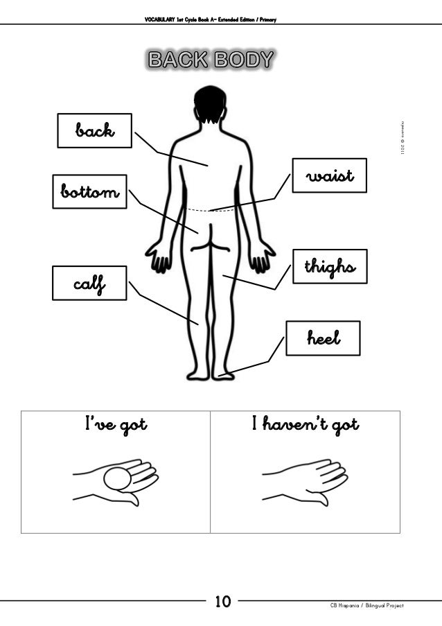 Vocabulary 1st cycle_book_a_extended_ed