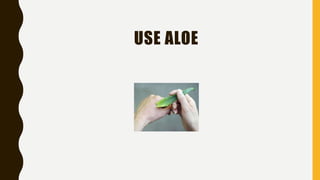 USE ALOE
 