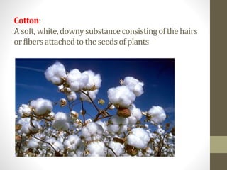 Cotton:
Asoft,white,downysubstanceconsistingofthehairs
orfibersattachedtotheseedsofplants
 