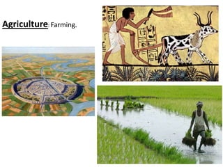 Agriculture: Farming.
 