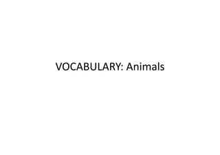 VOCABULARY: Animals 
 
