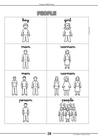 Vocabulary– BASICS / Primary
C.B. Hispania / Bilingual Project28
mjesusra©2011
boy girl
man woman
men women
person people
 