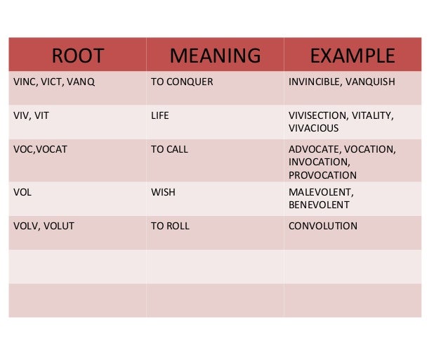 vers meaning root Vocabulary cmat13