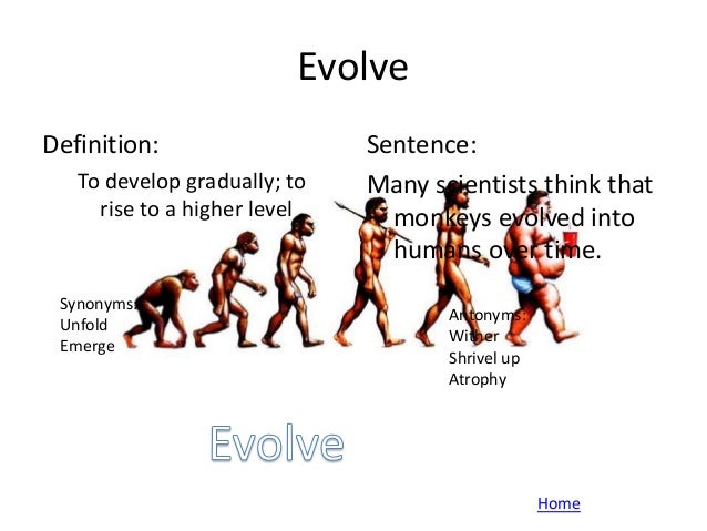 meaning i decree definitions Vocabulary