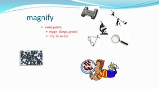 magnify
 word parts:
 magn (large, great)
 -ify (v. to do)

 