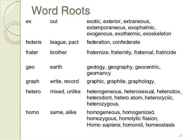 Vocabulary etymology