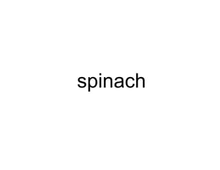 spinach
 
