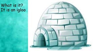 What is it?
It is an igloo
 