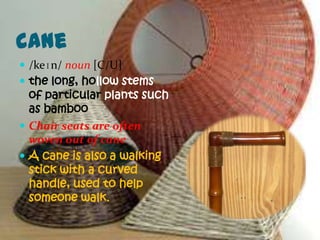 cane
 /keɪn/ noun [C/U]
 the long, hollow stems
  of particular plants such
  as bamboo
 Chair seats are often
  woven out of cane
 A cane is also a walking
  stick with a curved
  handle, used to help
  someone walk.
 