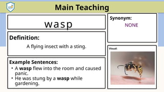 Wasp Visual VOCABULARY gradeVOCABULARY 7(2nd week).pptx