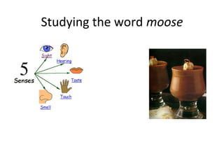 Studying the word moose
 