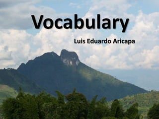 Vocabulary
Luis Eduardo Aricapa
 