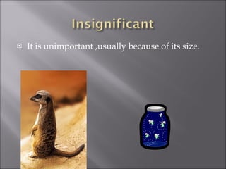 It is unimportant ,usually because of its size.